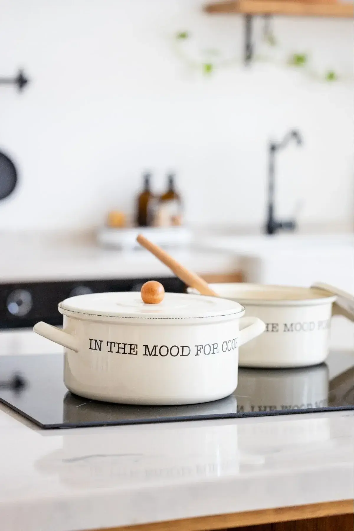 MOOD EMAYE SERİSİ 20 CM TENCERE